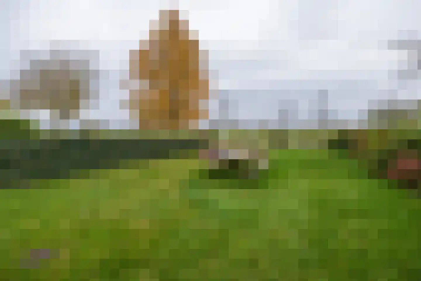 Travers 11 Naarden thumbnail 49