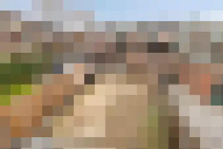 Travers 11 Naarden thumbnail 54