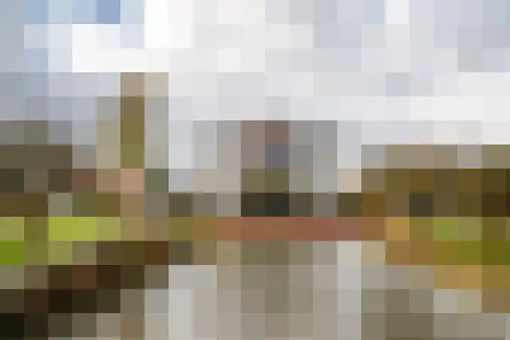 Travers 11 Naarden thumbnail 9