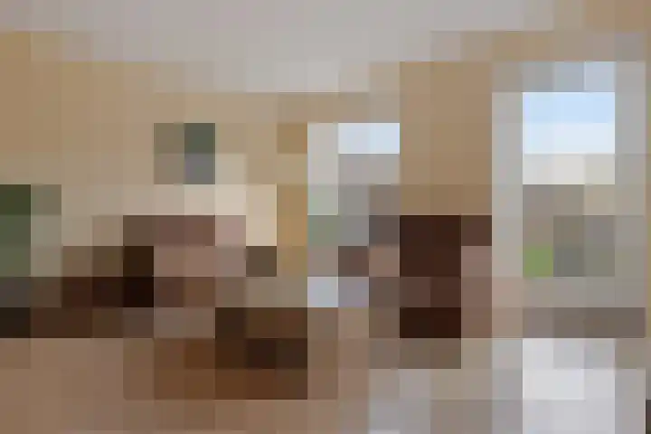 Traverse 6 Assen thumbnail 17