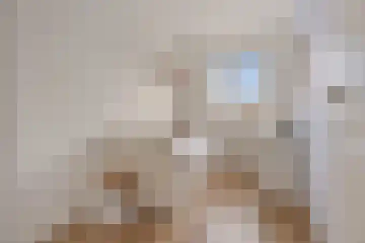 Traverse 6 Assen thumbnail 23
