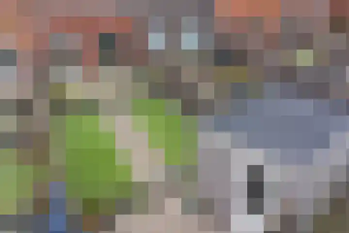Traverse 6 Assen thumbnail 33