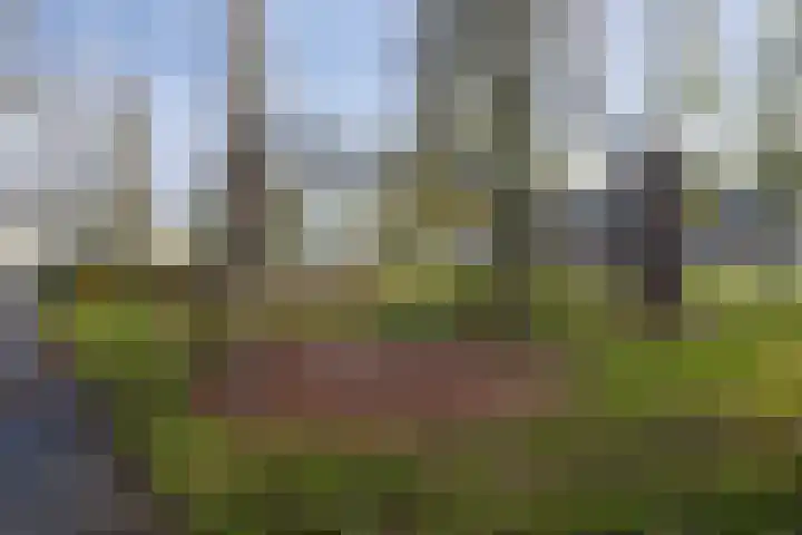 Traverse 6 Assen thumbnail 35