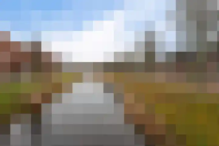 Traverse 6 Assen thumbnail 41