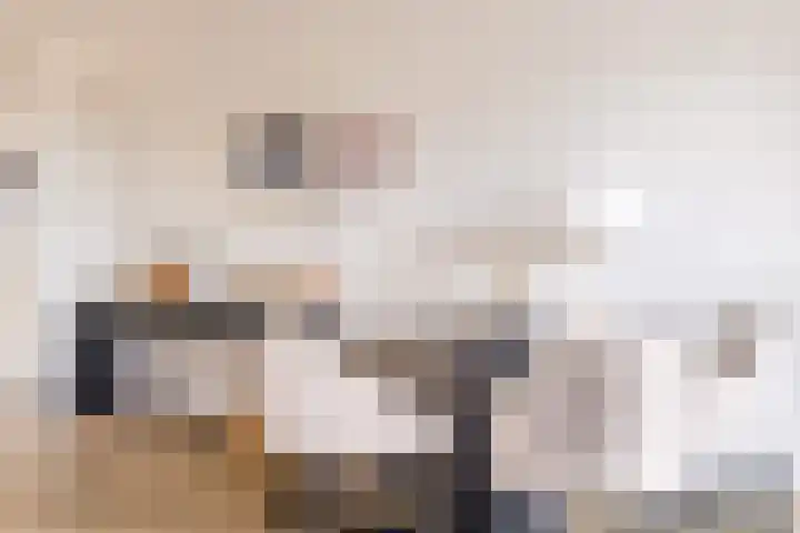 Traverse 9 Assen thumbnail 17