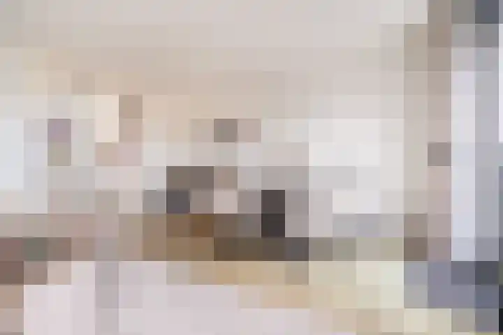 Traverse 9 Assen foto 2