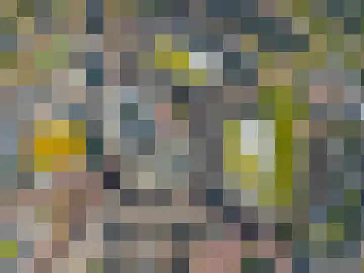 Traverse 9 Assen thumbnail 71