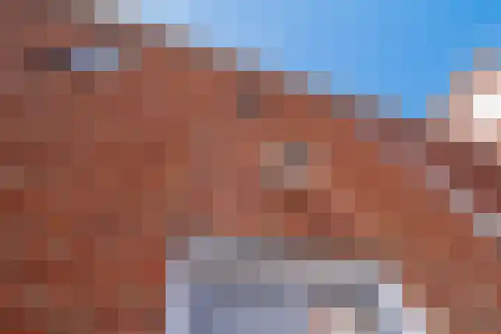 Traverse 9 Assen thumbnail 9