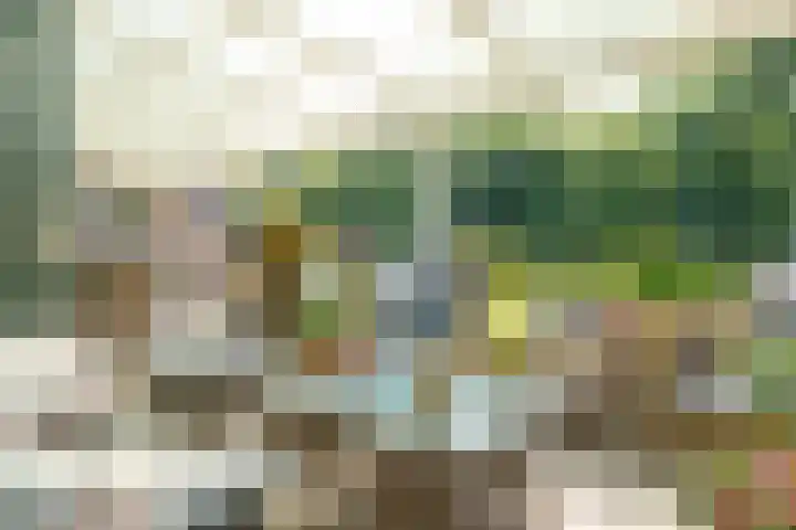 Trechterbeker 7 Borger thumbnail 25