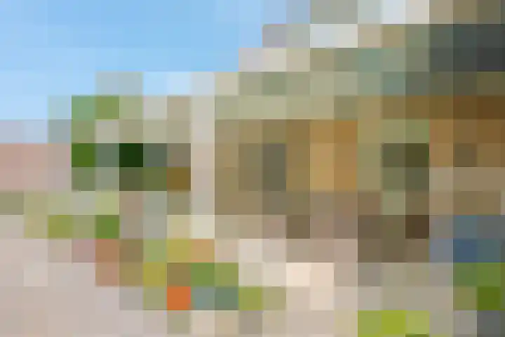 Trechterbeker 7 Borger thumbnail 28