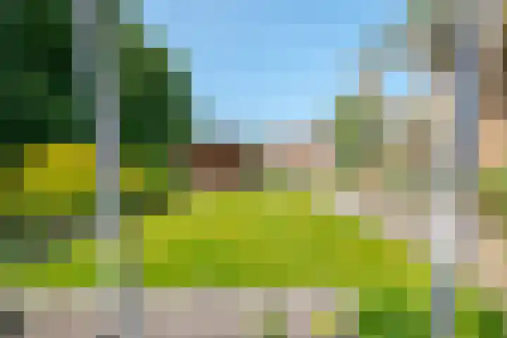 Trechterbeker 7 Borger thumbnail 33
