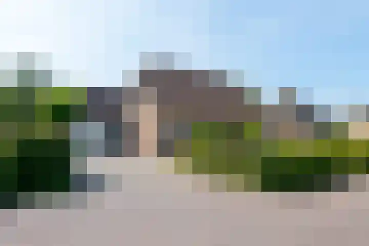 Trechterbeker 7 Borger thumbnail 4
