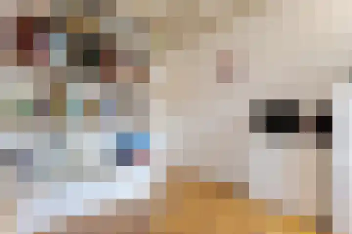 Trechterbeker 7 Borger thumbnail 49