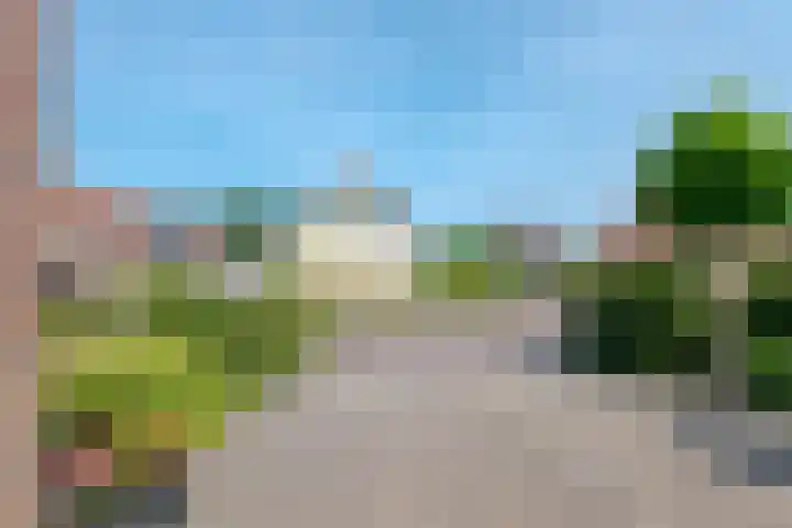Trechterbeker 7 Borger thumbnail 6