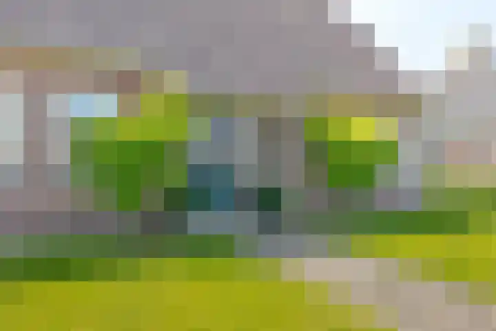 Trechterbeker 7 Borger thumbnail 9