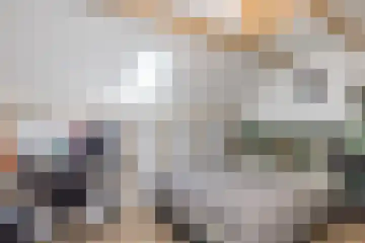 Treebeekstraat 111 Brunssum thumbnail 27