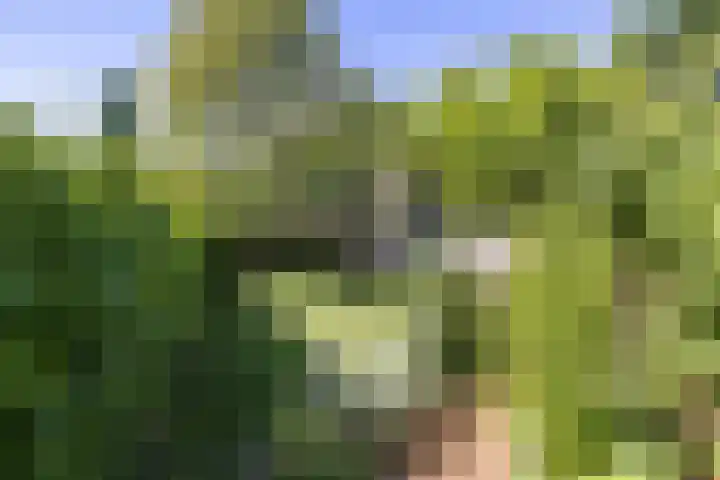 Treebeekstraat 111 Brunssum thumbnail 31