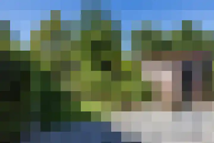 Treebeekstraat 111 Brunssum thumbnail 37