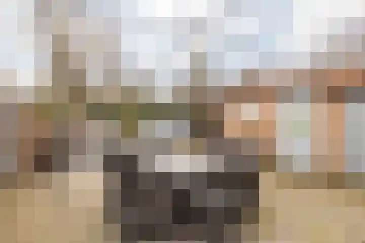 Treebeekstraat 40 Brunssum thumbnail 32