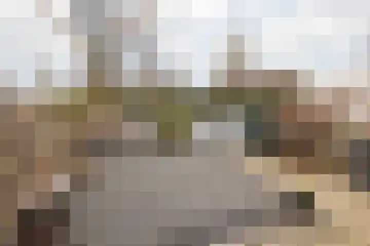 Treebeekstraat 40 Brunssum thumbnail 33
