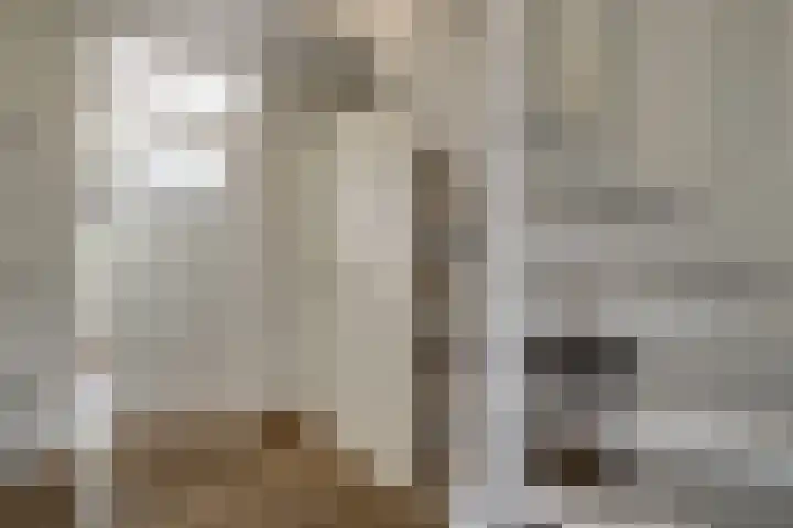Treebord 4 Enkhuizen thumbnail 11