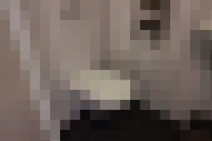 Treebord 4 Enkhuizen thumbnail 12