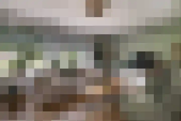 Treebord 4 Enkhuizen thumbnail 13