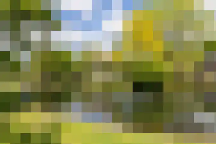 Treebord 4 Enkhuizen thumbnail 19