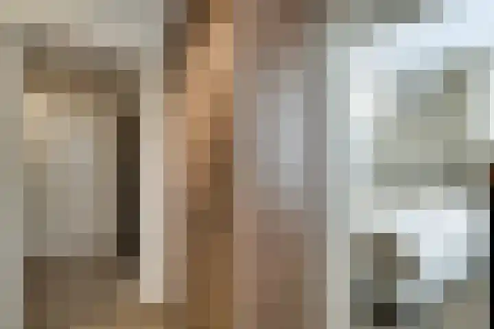 Treebord 4 Enkhuizen thumbnail 20