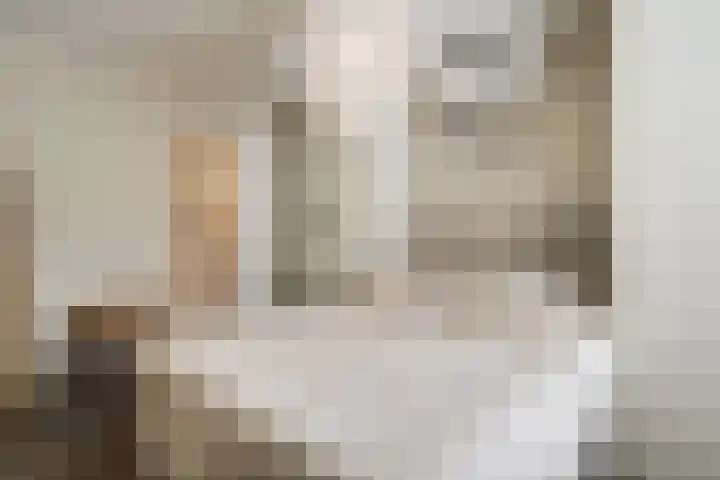 Treebord 4 Enkhuizen thumbnail 21