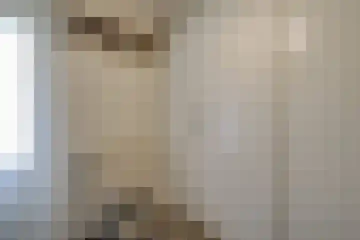 Treebord 4 Enkhuizen thumbnail 25