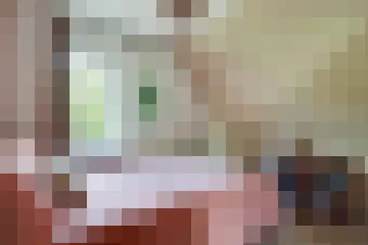 Treebord 4 Enkhuizen thumbnail 30