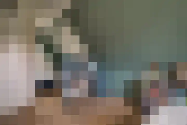 Treebord 4 Enkhuizen thumbnail 34