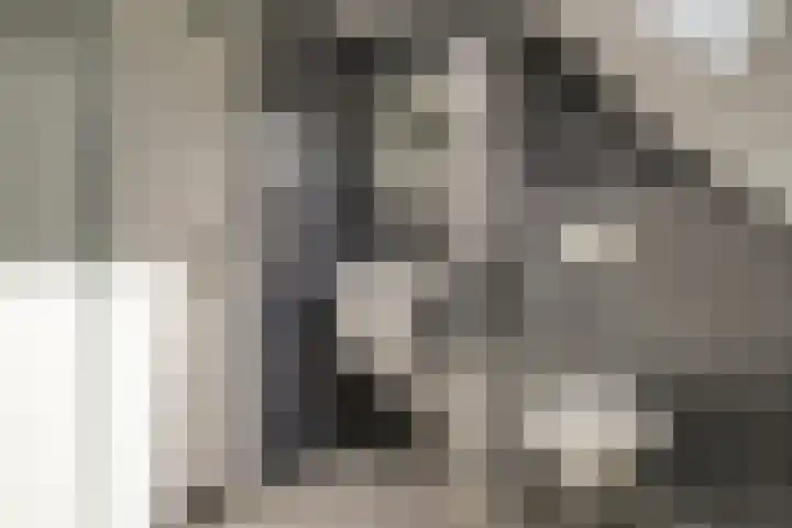 Treebord 4 Enkhuizen thumbnail 38
