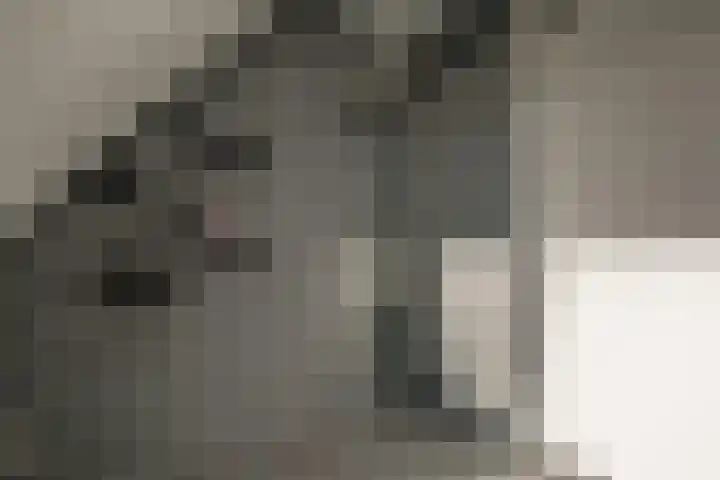 Treebord 4 Enkhuizen thumbnail 39