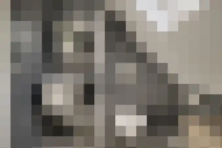Treebord 4 Enkhuizen thumbnail 41