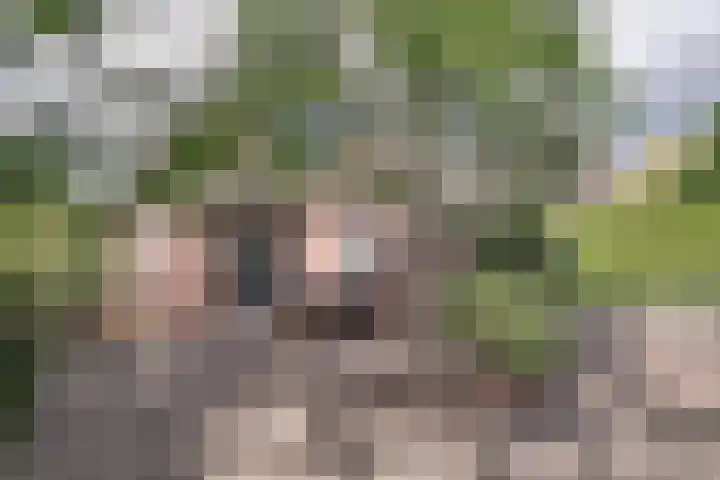 Treebord 4 Enkhuizen thumbnail 42