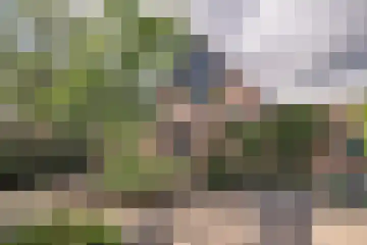 Treebord 4 Enkhuizen thumbnail 43