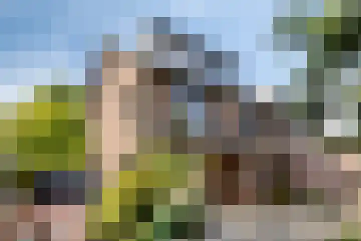 Treebord 4 Enkhuizen thumbnail 44