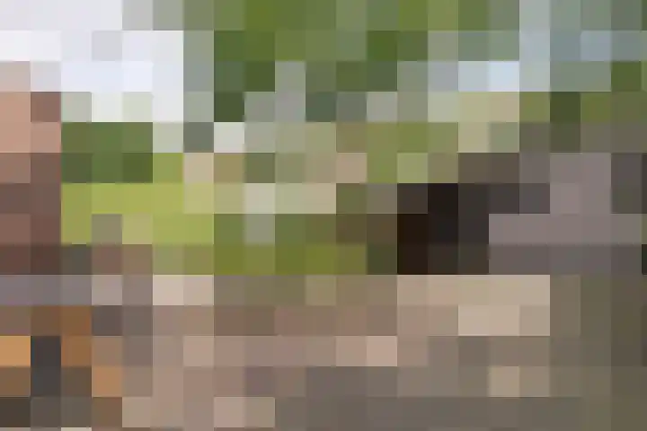 Treebord 4 Enkhuizen thumbnail 45