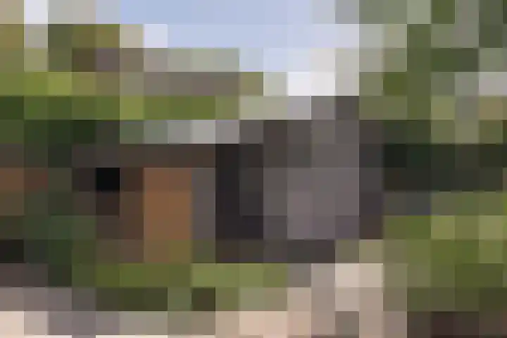 Treebord 4 Enkhuizen thumbnail 46