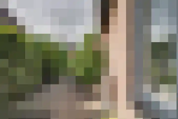 Treebord 4 Enkhuizen thumbnail 47