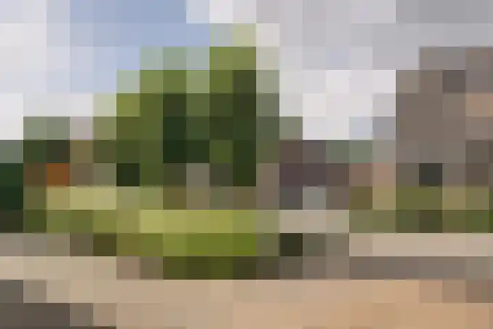 Treebord 4 Enkhuizen thumbnail 48