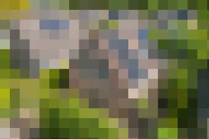 Treebord 4 Enkhuizen thumbnail 5