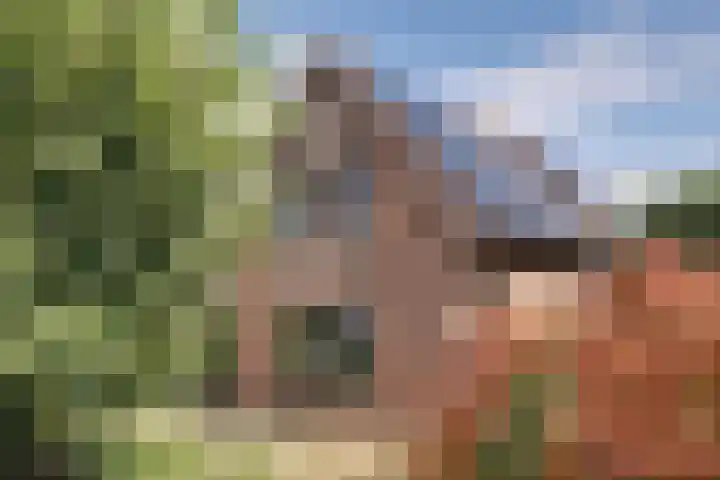 Treebord 4 Enkhuizen thumbnail 6