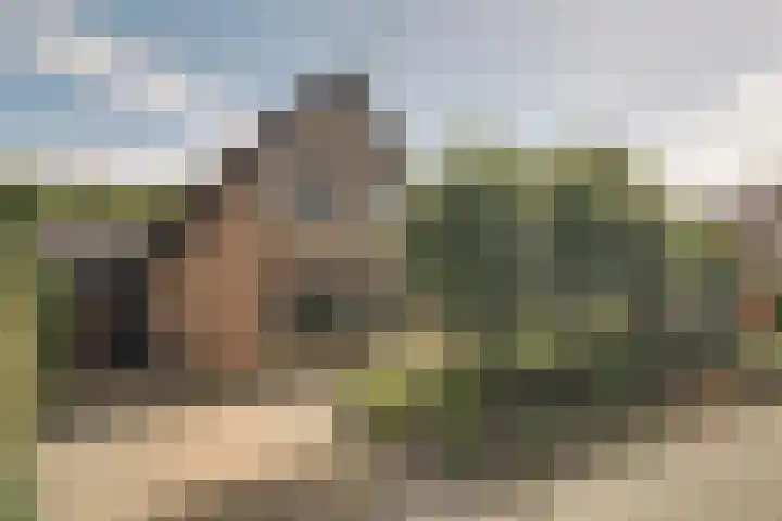 Treebord 4 Enkhuizen thumbnail 7