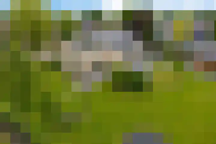 Treek 38 Utrecht thumbnail 15