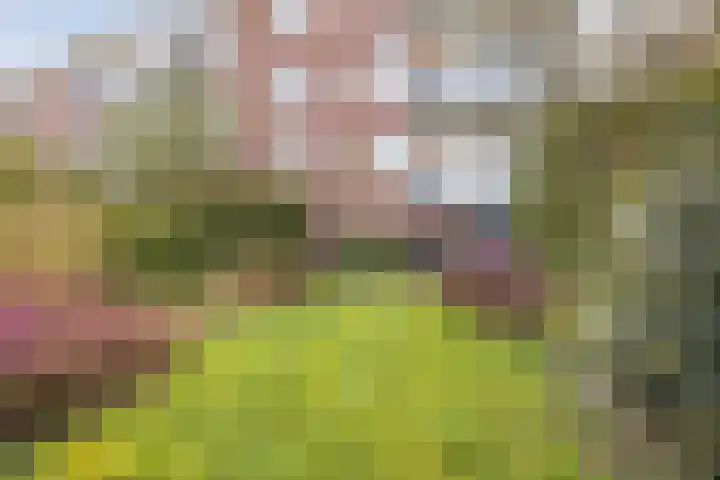 Treek 38 Utrecht thumbnail 18