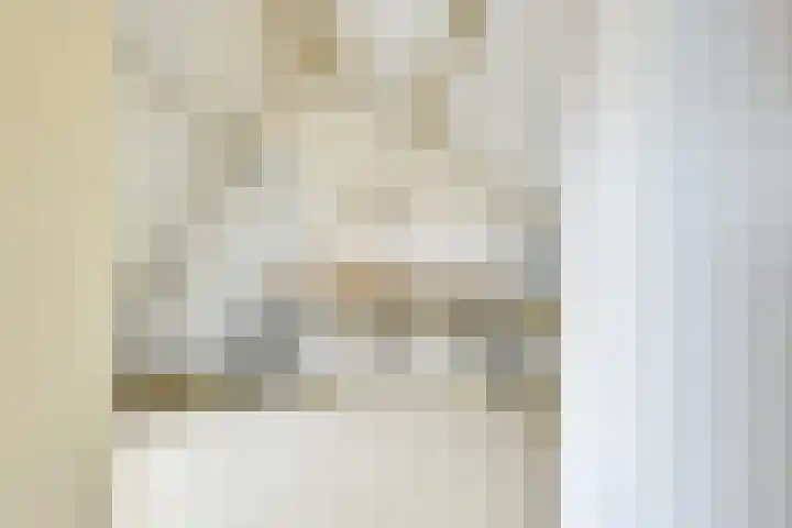 Treek 38 Utrecht thumbnail 24