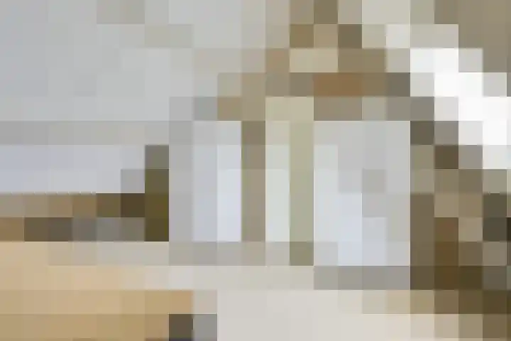 Treek 38 Utrecht thumbnail 25